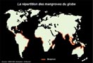 Cliquer sur l'image pour l'agrandir